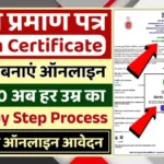 Apply Birth Certificate Online Easily For All Ages With Simple Government Approved Digital Process